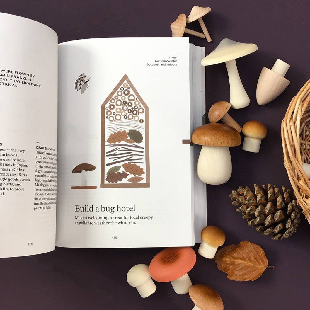 The Nature of Play Book