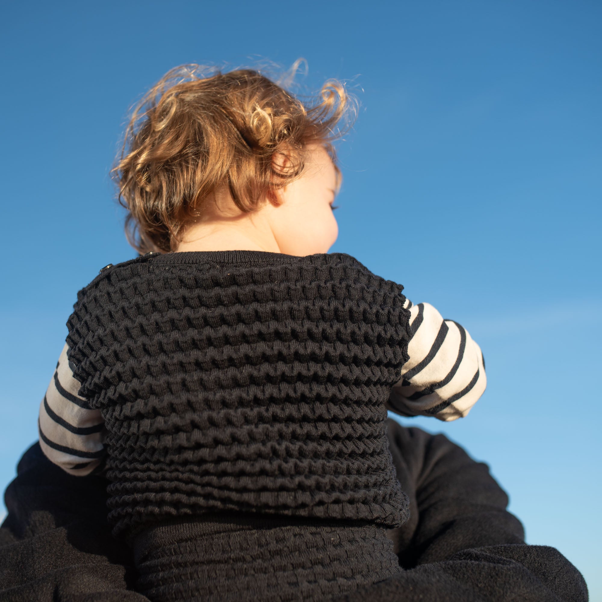 Merino Vest