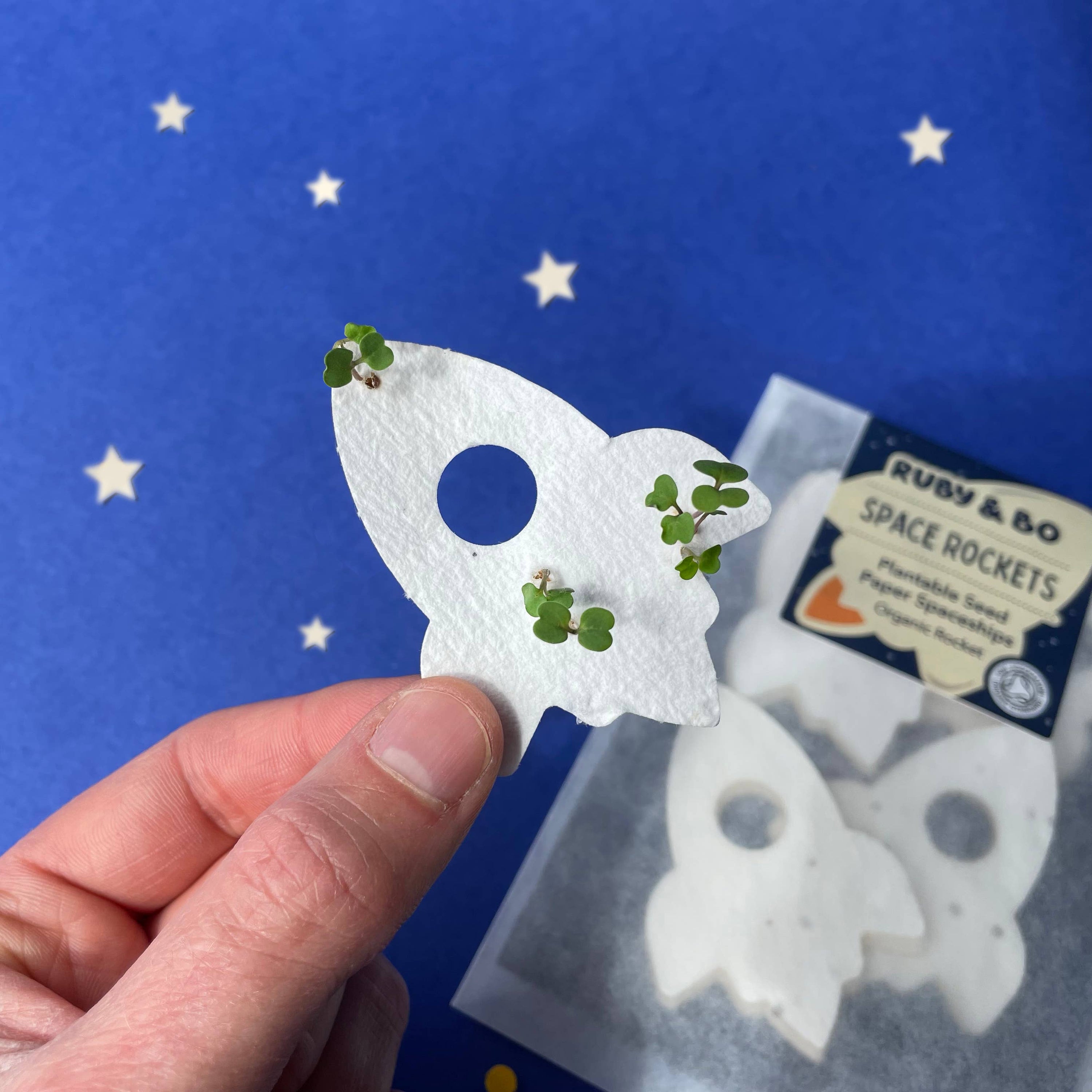 Space Rocket Plantable Spaceships