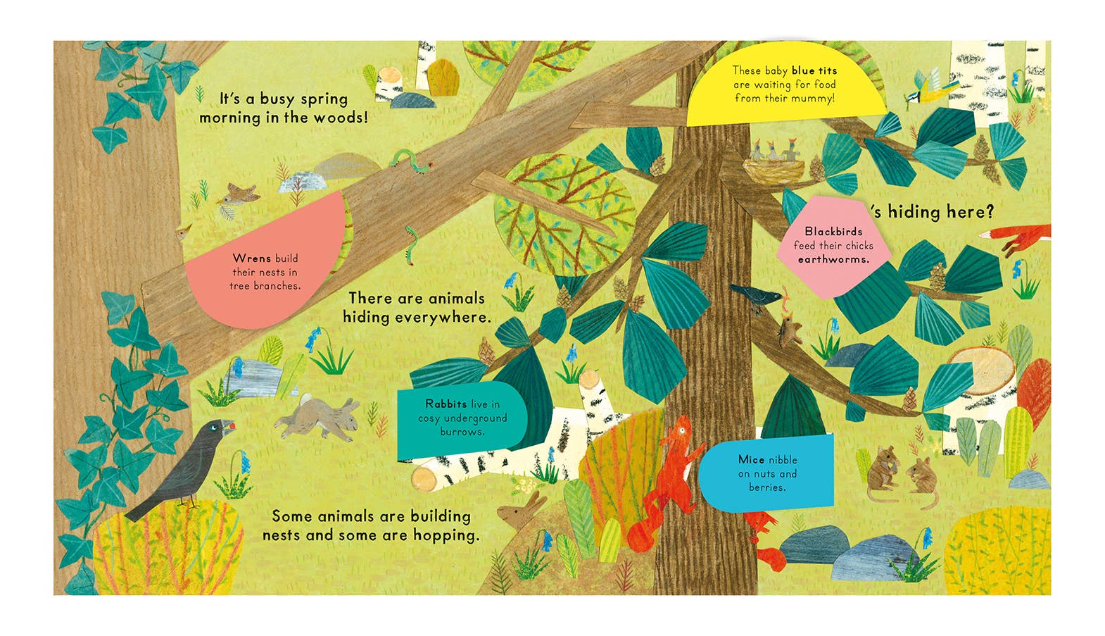 National Trust: Who's Hiding in the Woods?