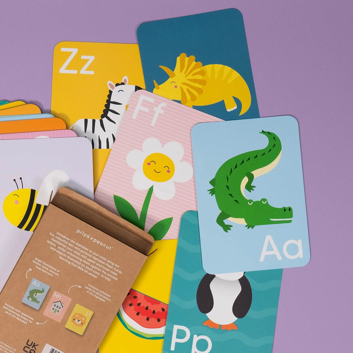 MiniHuman Flash Cards