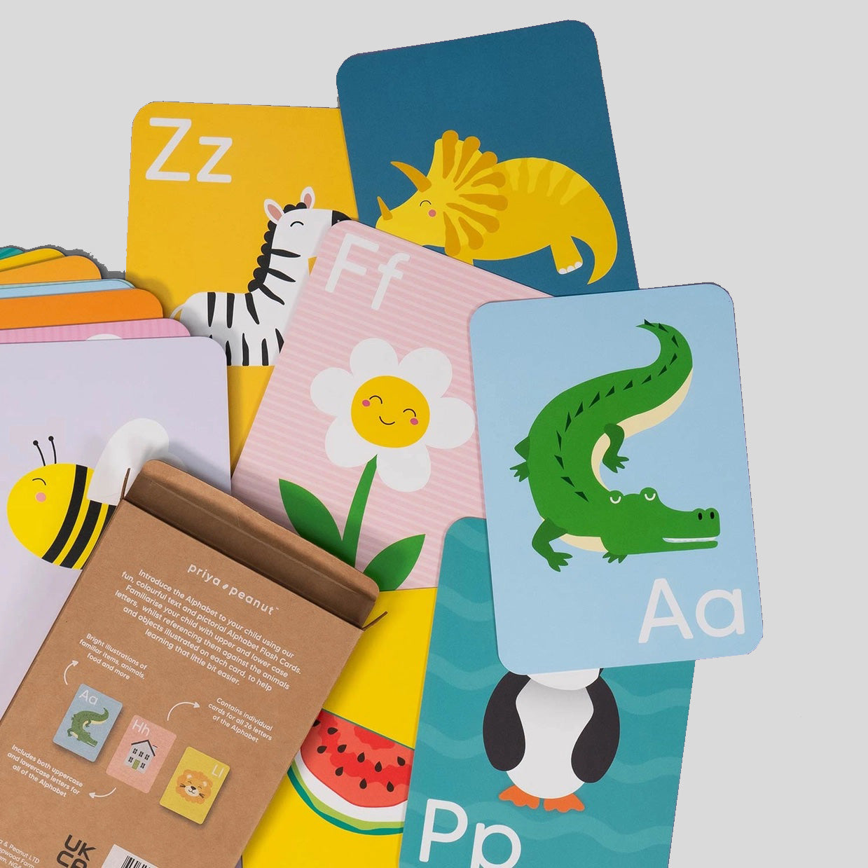 MiniHuman Flash Cards