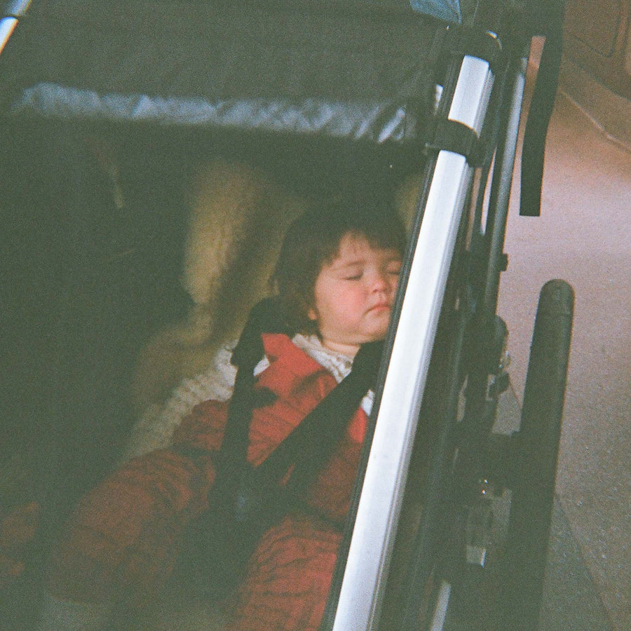 Customer photo: Petit Pli