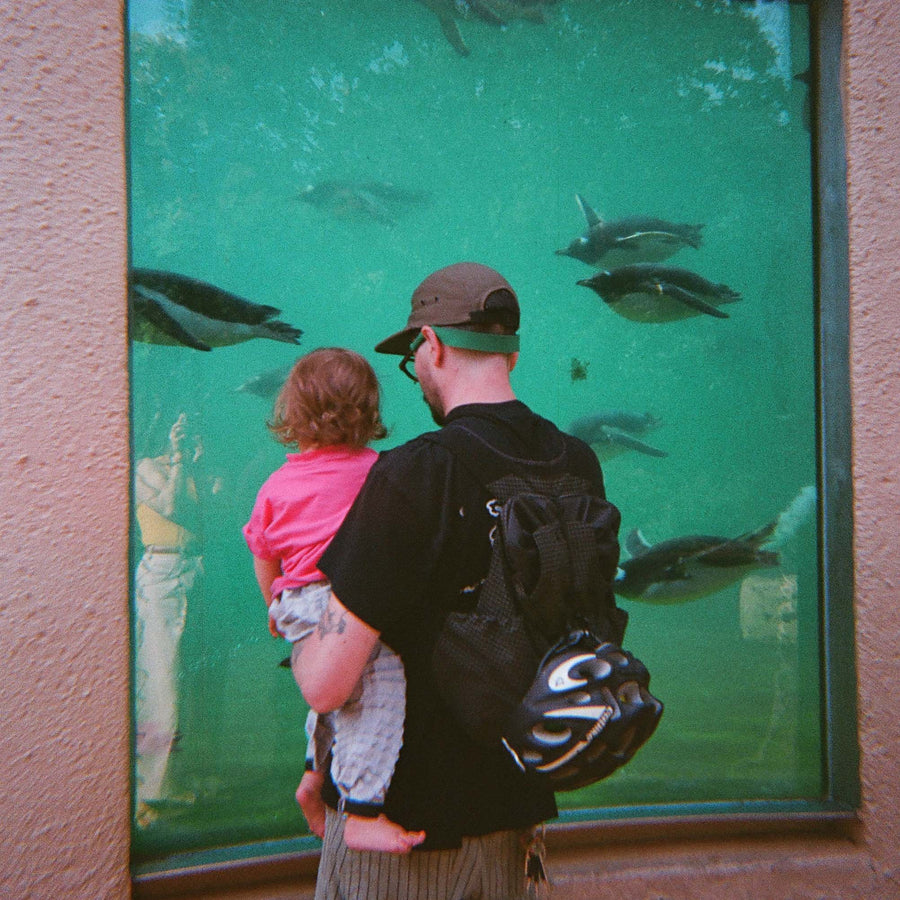 Customer photo: Petit Pli