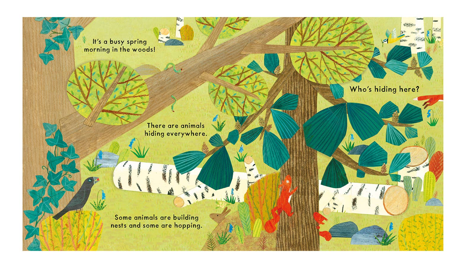 National Trust: Who's Hiding in the Woods?